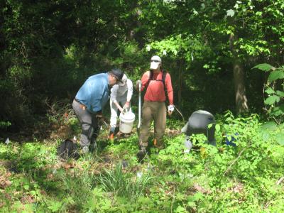 Restoring Dyke Marsh by Planting Native Plants