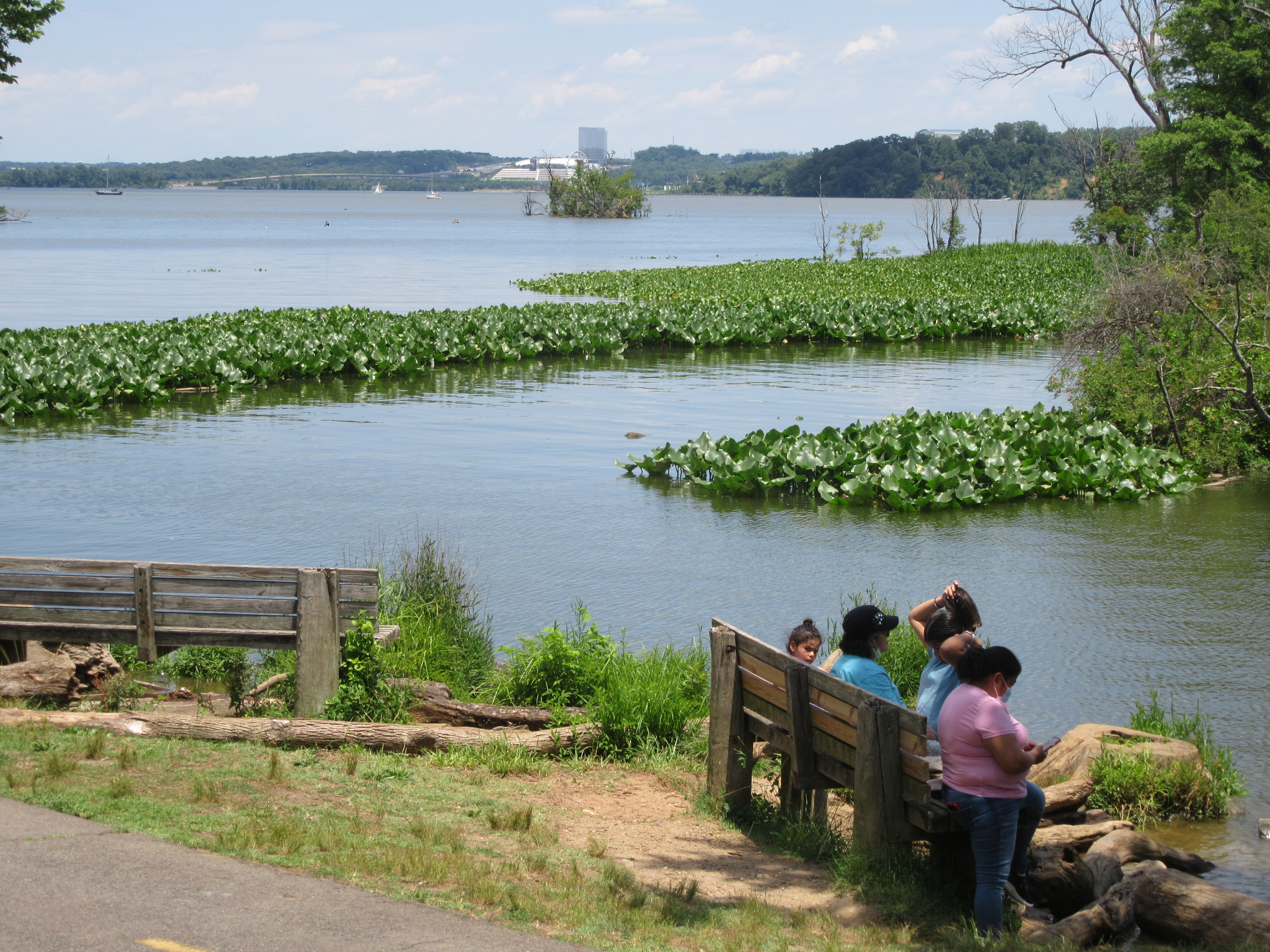 Benches at South Dyke Marsh along Mount Vernon Trail