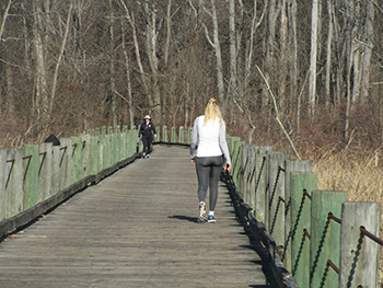 Bridge 23 on the trail and in Dyke Marsh is a favorite spot for nature study