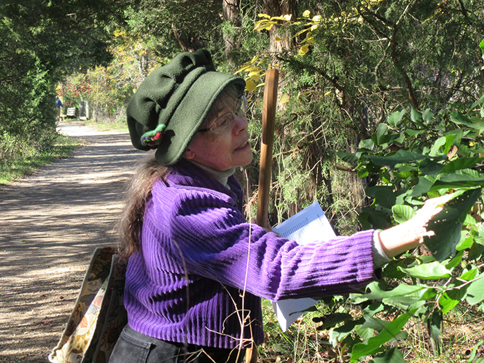 Co leader Margaret Chatham explained many of the characteristics of plants along the Haul Road trail