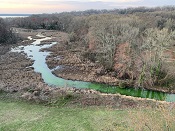 Dyke Marsh west