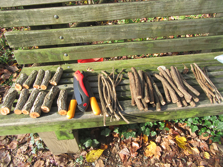 Leader Jim Gearing collected examples of invasive vines in winter to help volunteers identify them