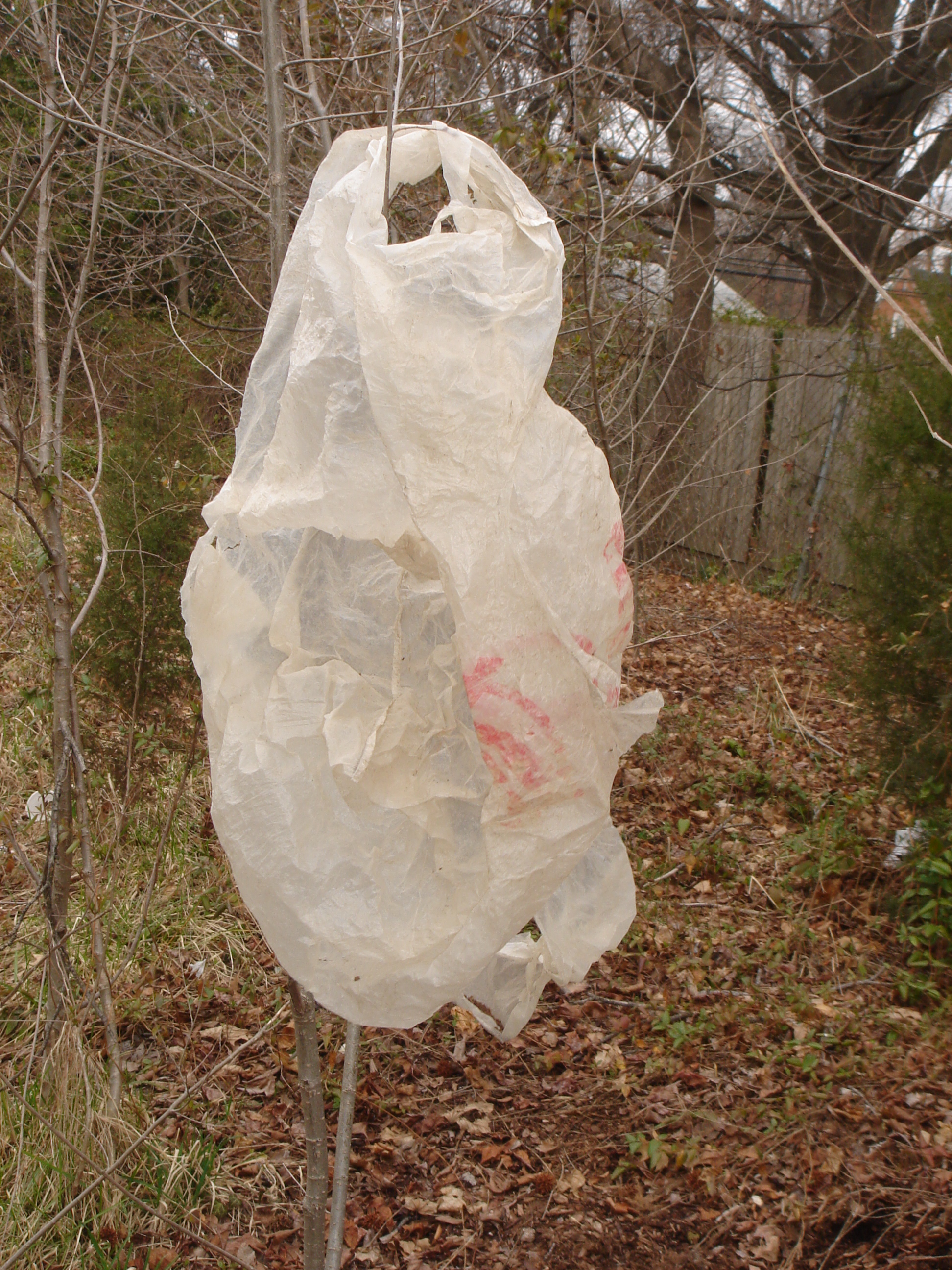 Plastic Bags 1