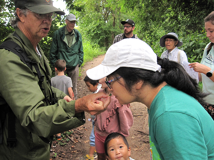 Steury_invited_participants_to_sniff_the_fragrant_spice_bush_Lindera_benzoin-700.jpg