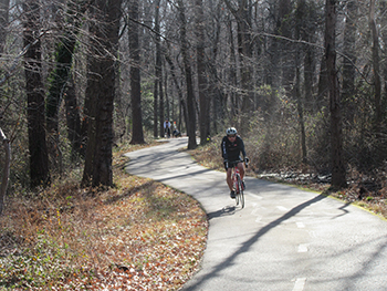 The multi use trail attracts many bikers