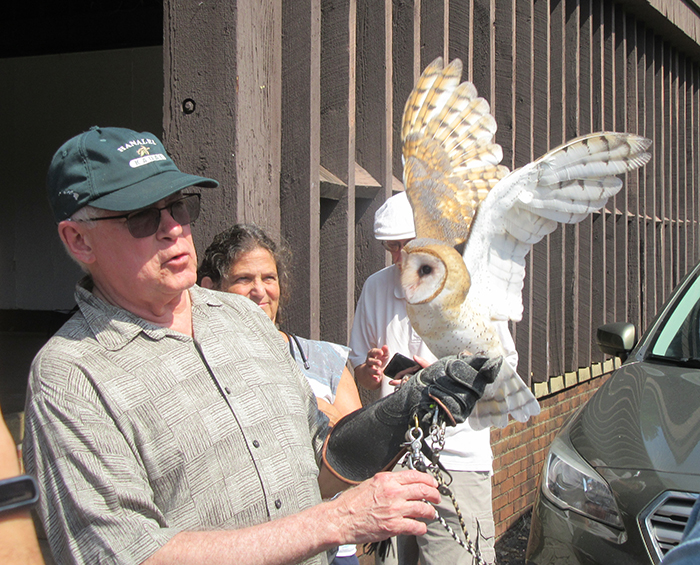 Tim_Dennison_walked_Olive_around_to_give_fans_a_close-up_look-700.jpg