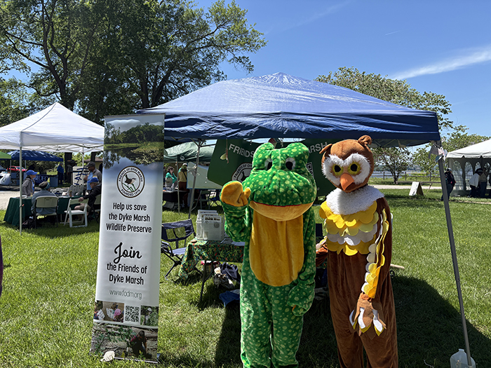 big_frog_and_owl-700.jpg