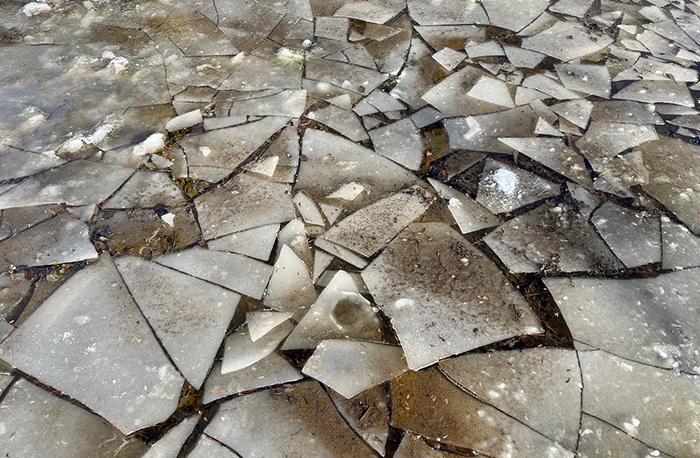 cracked creek ice photo by barbara saffir