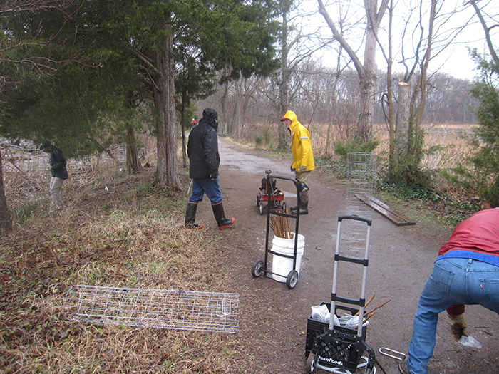 group_put_in_stakes_in_the_hydric_soil_near_the_Haul_Road_Trail_east_of_the_dogleg_turn-700.jpg