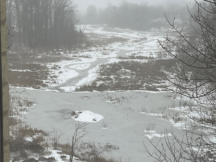 snow_west_marsh_1-700.jpg