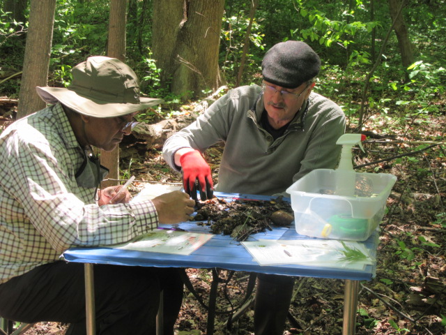 sorting through stream sediments Clarence Monteiro and Randy Myers