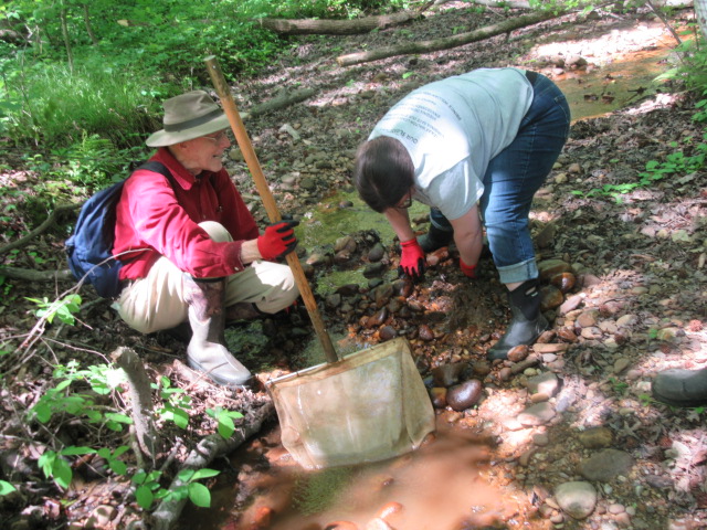 volunteers scoop sedimants 2