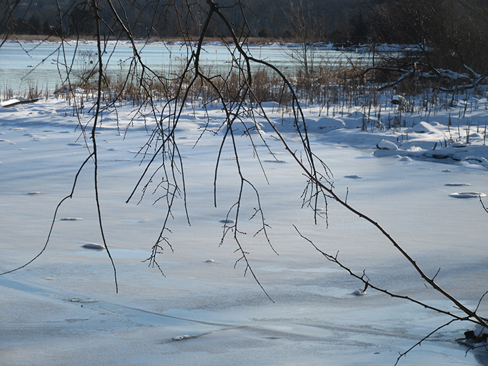 winter_landscape_1-700.jpg